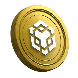New trader guide page displaying the Binance BNB cryptocurrency coin
